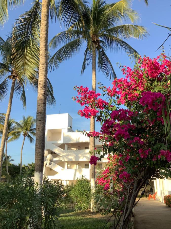 Hotel Arista Bugambilias بويرتو أريستا المظهر الخارجي الصورة